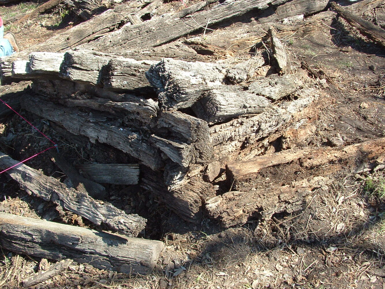 Half Dove-tail Notched Oak Logs