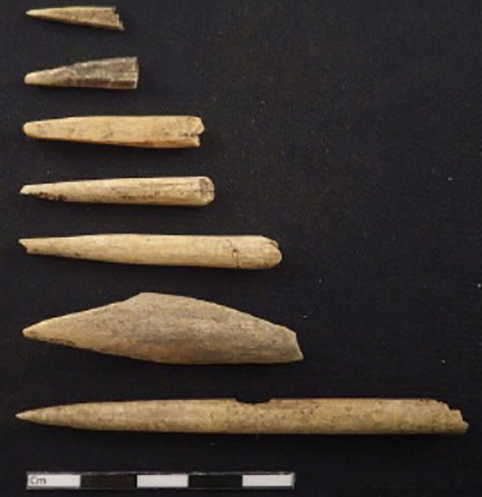 Bone artifacts

